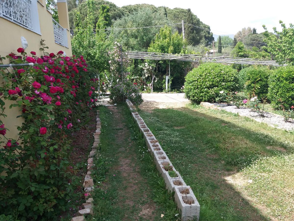 Athineos Apartments Kommeno  Exteriér fotografie