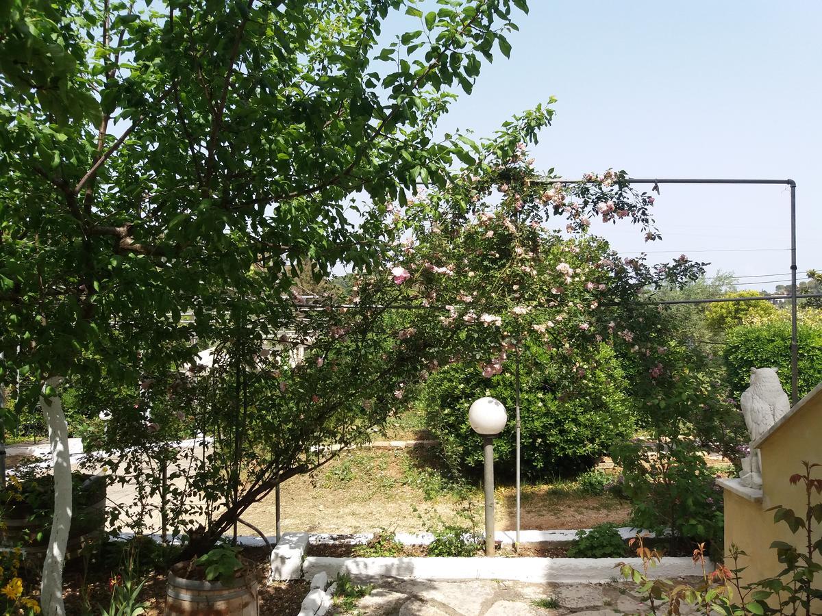 Athineos Apartments Kommeno  Exteriér fotografie